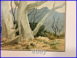 Vintage Original SW Landscape Watercolor Ancient Trees signed Jerry Becker