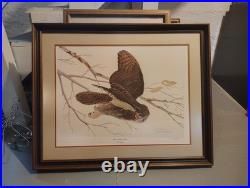 Vintage Owl Painting. Numbered And Signed By Auther