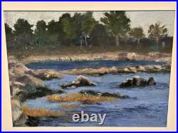 Vintage Pastel Painting Of Shoreline Landscape Signed F Dubois Matted & Framed