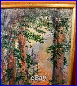 Vtg Redwood Tree Forest Path Oil Painting Framed Under Glass 20 x 16 Signed