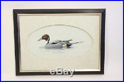 Vtg Robert A. Richert Watercolor Painting Pintail Drake Duck Wildlife Art Signed
