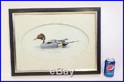 Vtg Robert A. Richert Watercolor Painting Pintail Drake Duck Wildlife Art Signed