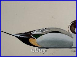 Vtg William P. Tyner Pintail Duck Orig. Signed Watercolor Painting
