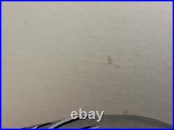 Vtg William P. Tyner Pintail Duck Orig. Signed Watercolor Painting