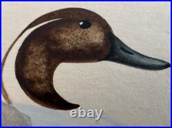 Vtg William P. Tyner Pintail Duck Orig. Signed Watercolor Painting