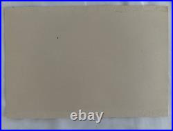 Vtg William P. Tyner Pintail Duck Orig. Signed Watercolor Painting